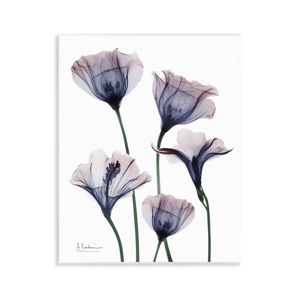Stupell Subtle Fresh Flowers Wall Plaque Art Design By Albert Koetsier