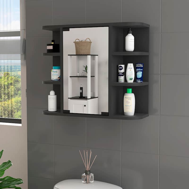 6-Shelf Medicine Cabinet with Mirorr