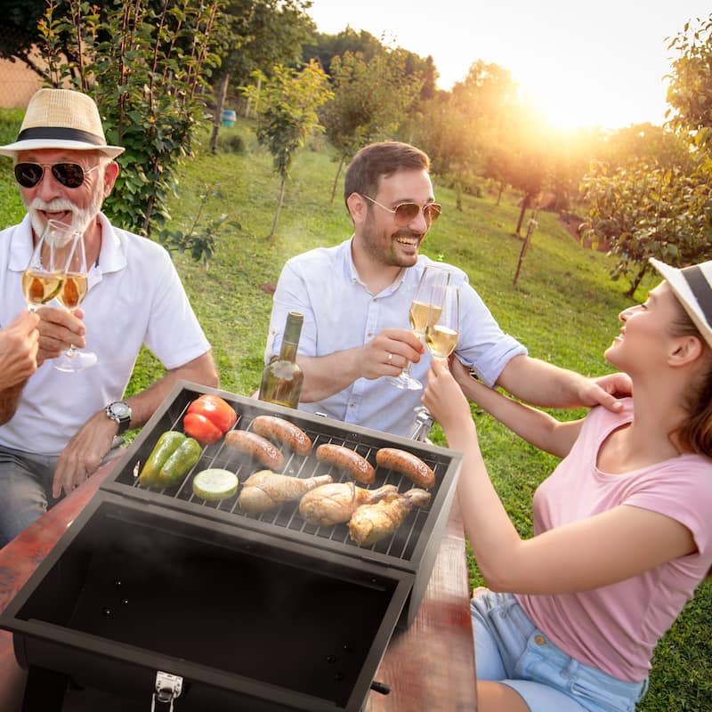Royal Gourmet Black Portable Charcoal Grill
