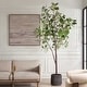 preview thumbnail 2 of 2, Uttermost Eden Potted Fig Tree