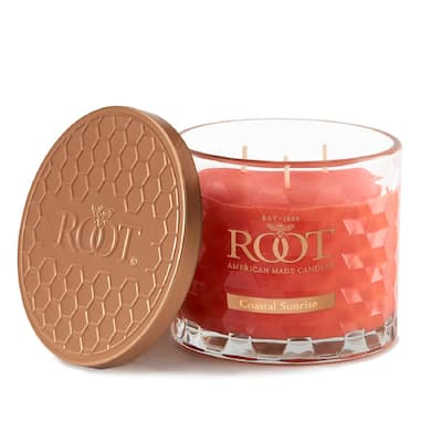 Root Costal Sunrise Scented 3-Wick Signature Honeycomb Jar - 12 oz