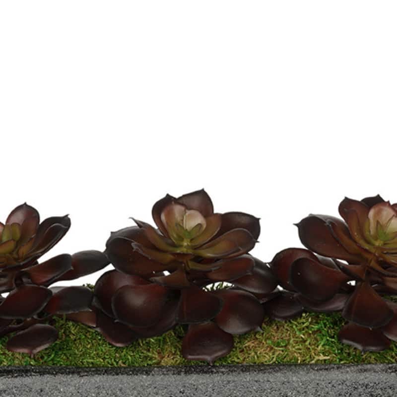 Faux Echeverias in Black Sandy-Texture Cermaic Vase