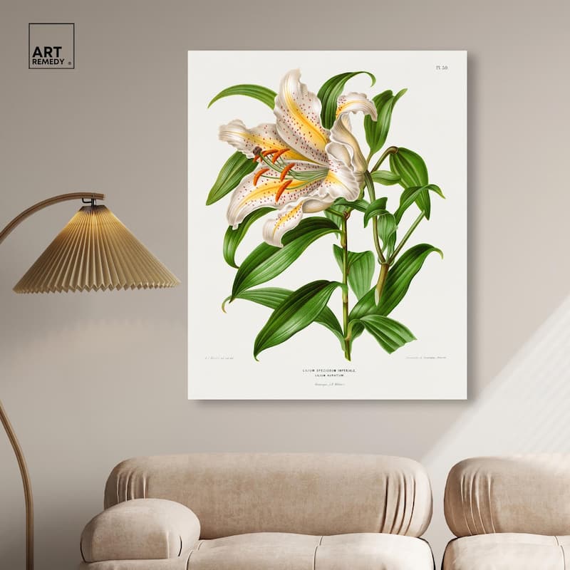 Lilium Speciosum Imperiale Canvas by Art Remedy, Gallery Wrapped