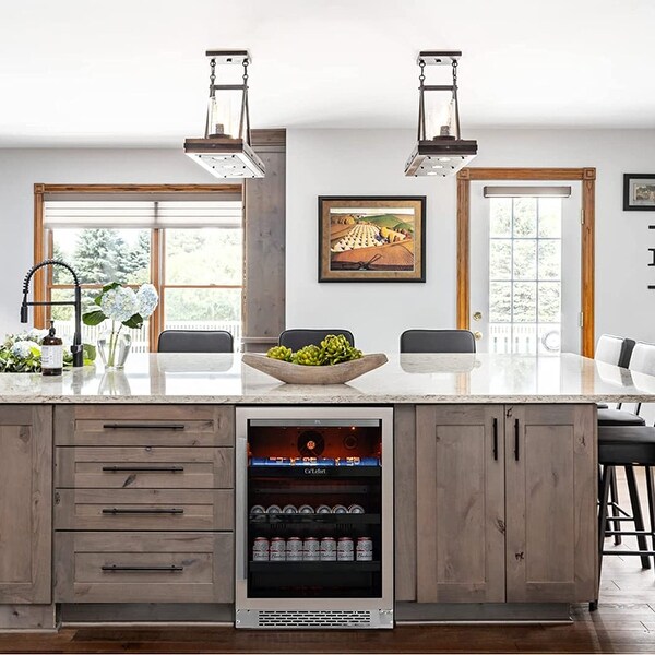 24 built in beverage refrigerator discount