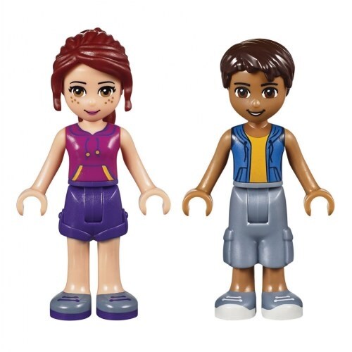 41312 lego friends