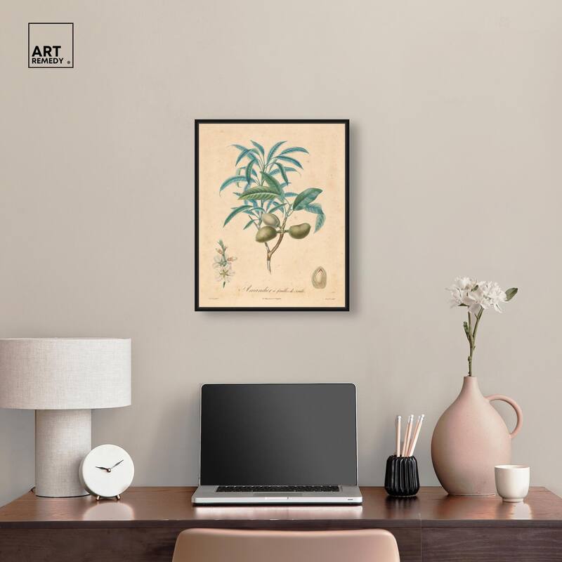 Almond of Georgia II Canvas by Art Remedy