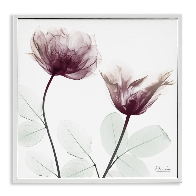 Stupell Minimalist Translucent Flowers Framed Giclee Art Design By Albert Koetsier - 24 x 24 - White