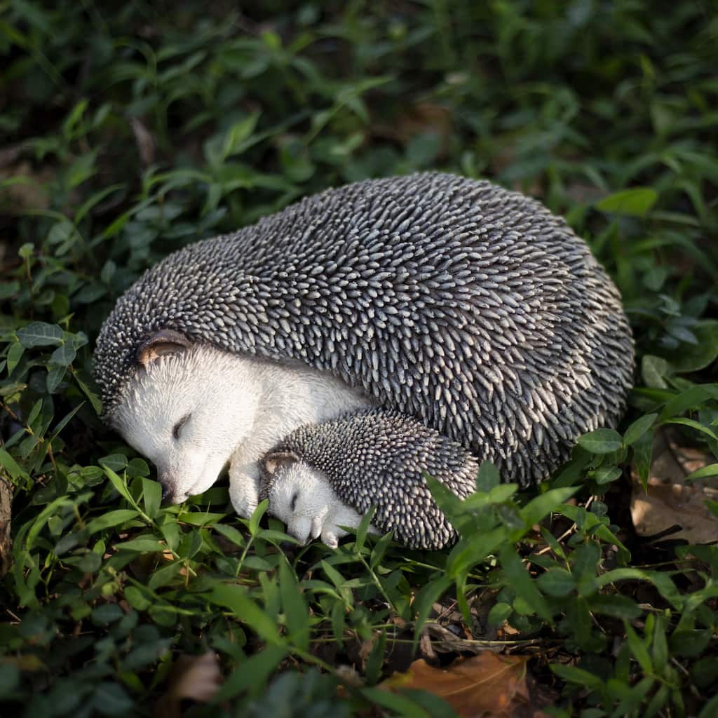 SoReal Off-white Sleeping Mother Baby Hedgehog Decorative Figurine for Home & Office Décor, Handcrafted Resin Statue