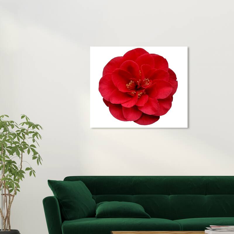 Wynwood Studio Canvas Floral and Botanical Red Floral Red and Modern & Contemporary Wall Art Canvas Print - 30 x 30