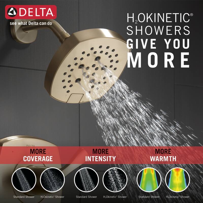 Delta Stryke Monitor 14 Series Single Function Pressure Balanced