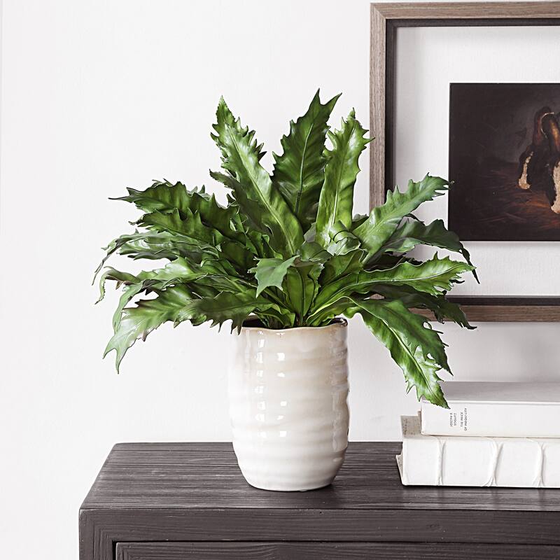 Glazed Pot Tabletop Artificial Fern Succulent - 18.75"
