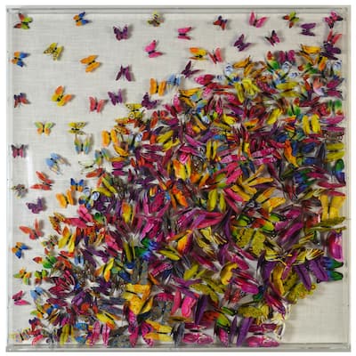 Aislynn - Papillion II Paper Butterfly Framed Art