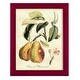 preview thumbnail 65 of 138, Printed Tuscan Fruits IV -Framed Print w/glass-Cherry Red 9x11 - Red