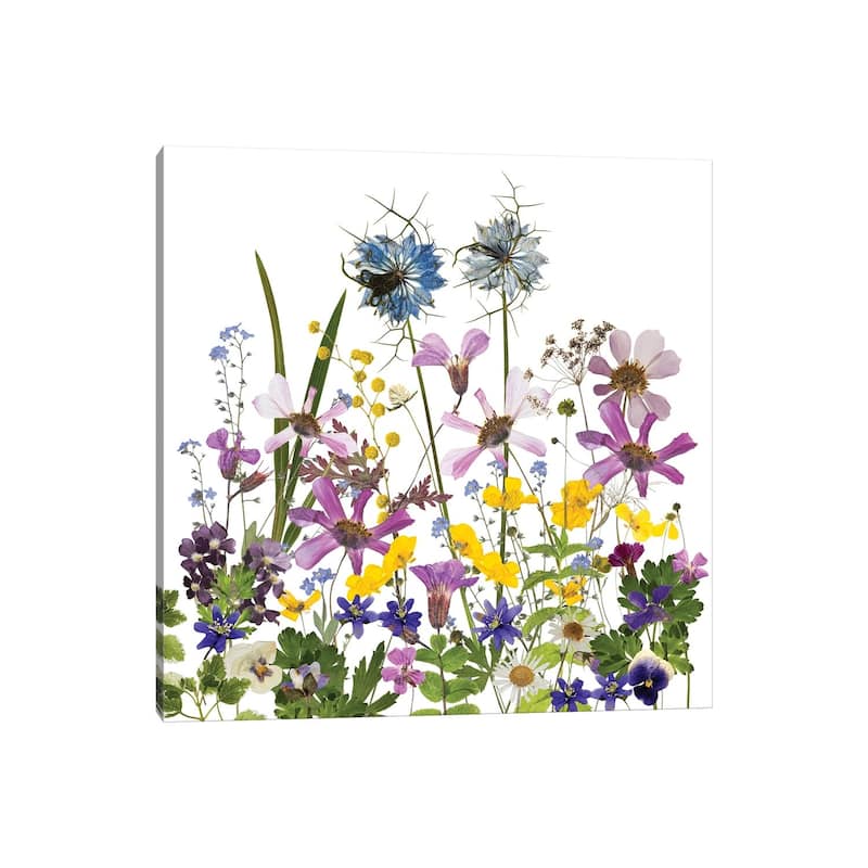 iCanvas "Dried And Pressed Midsummer Flowers" by UtArt Canvas Print