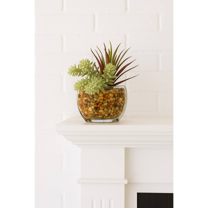 HomeStock Yucca Succulent in Glass Cube - Sleek Faux Plant for Contemporary Decor - 6