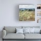 preview thumbnail 3 of 3, Danhui Nai 'Above the Lakes Crop I' Canvas Art