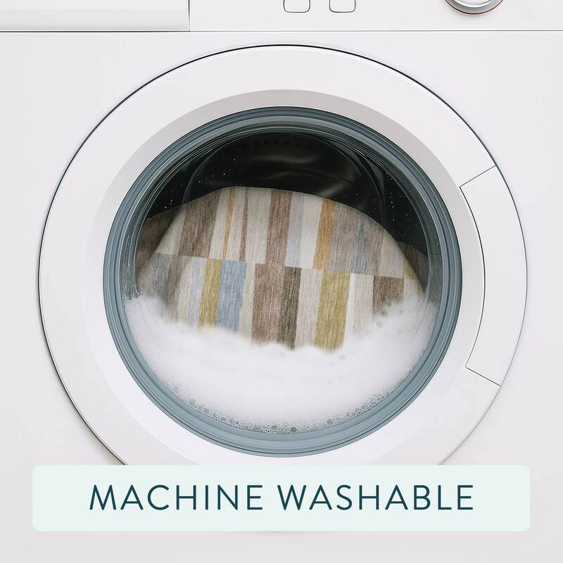 Machine Washable Indoor/ Outdoor Modern Antonito Chantille Rug