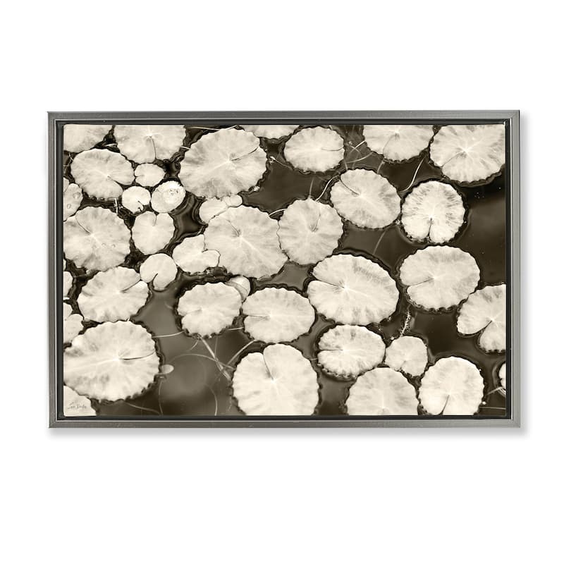 Stupell White Floating Lily Pads Framed Floater Canvas Wall Art Design By Lori Deiter - 25 x 17 - Grey