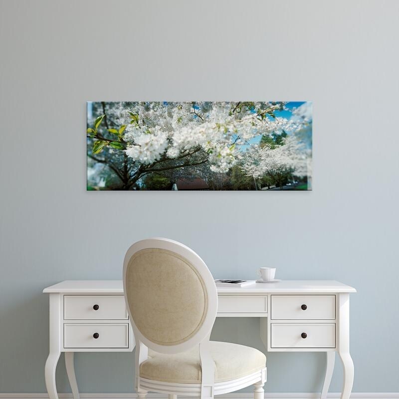 Shop Easy Art Prints Panoramic Image Cherry Blossom Tree