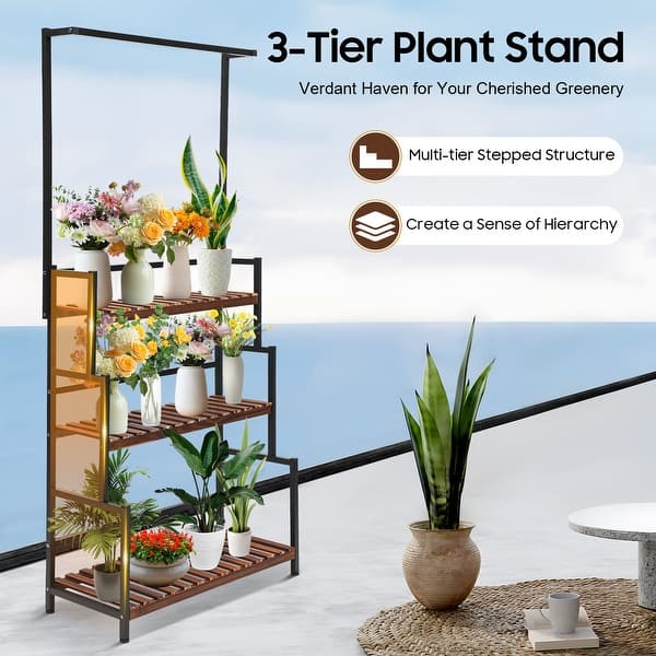 cardinal philodendron Philodendron Black Cardinal (Tissue Culture Plant in Jiffy Bag)   vridhigarden