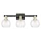 Option Black Antique Brass / Clear