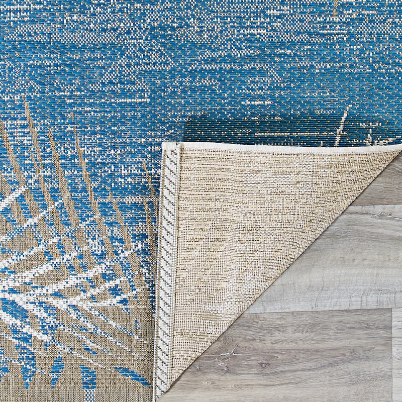 Dream Decor Rugs Samantha Coconut Creek Indoor Outdoor Area Rug