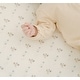 preview thumbnail 7 of 13, Crane Baby Organic Cotton Fitted Crib Sheet Bunny