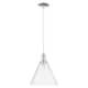 Option Clear / Polished Nickel