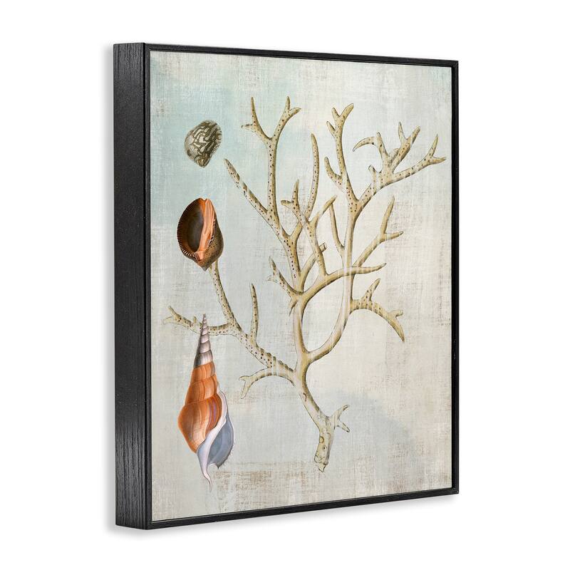 Stupell Seashells and Coral Branch Framed Giclee Art Design By Susan Arnot