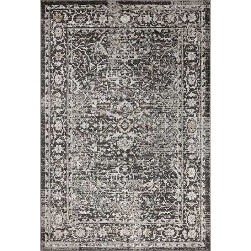 Alexander Home Colette Vintage Botanical Area Rug