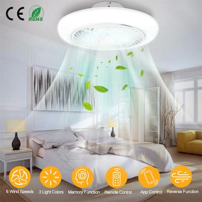 LED Ceiling Fan with Light