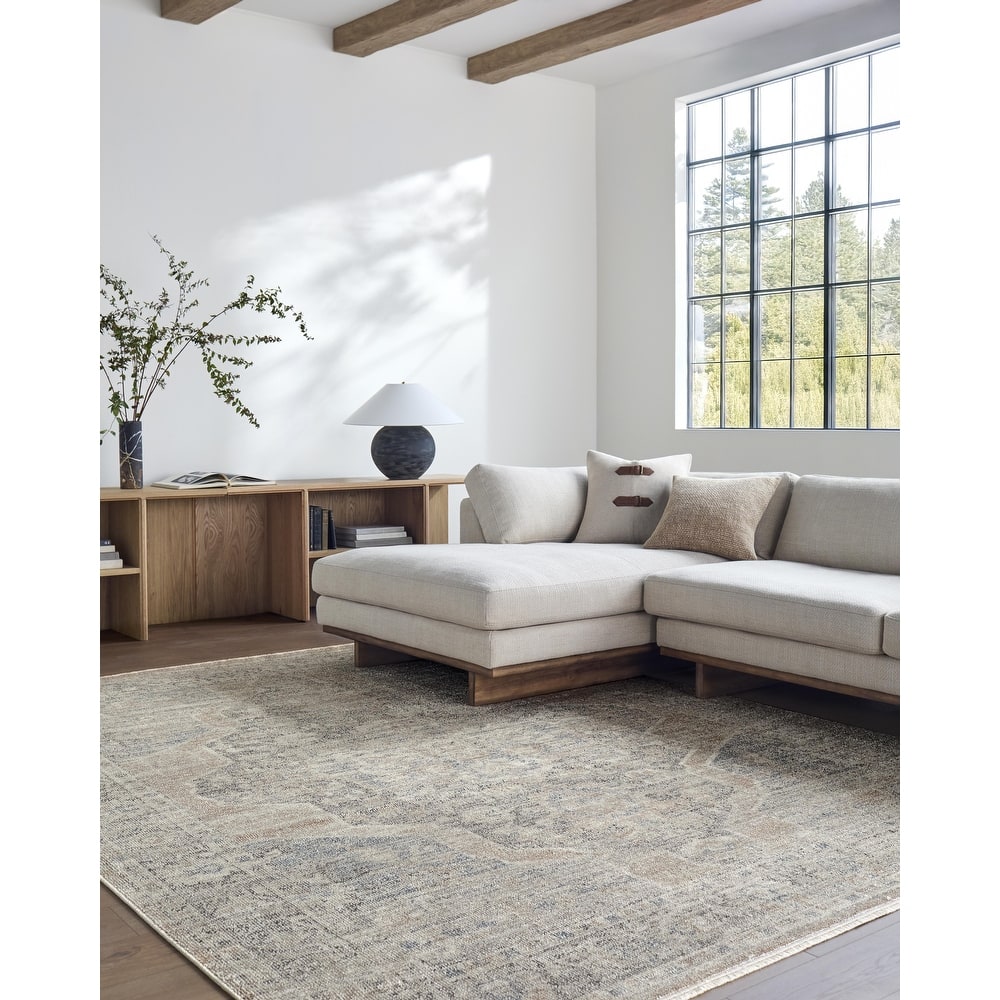 Galey Alix x Livabliss Maria Elena IV Vintage Medallion Area Rug