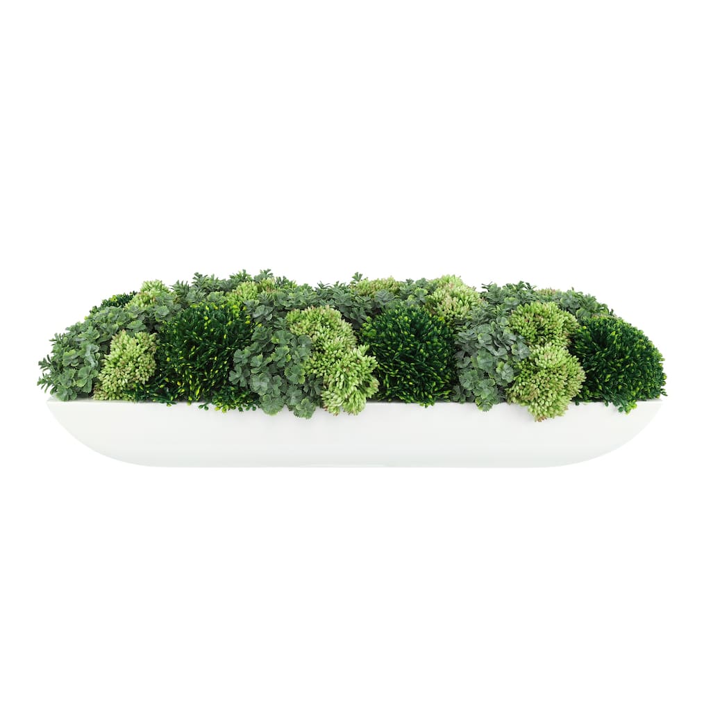 Chick Succulent and Sedum Arrangement in Pot - Green