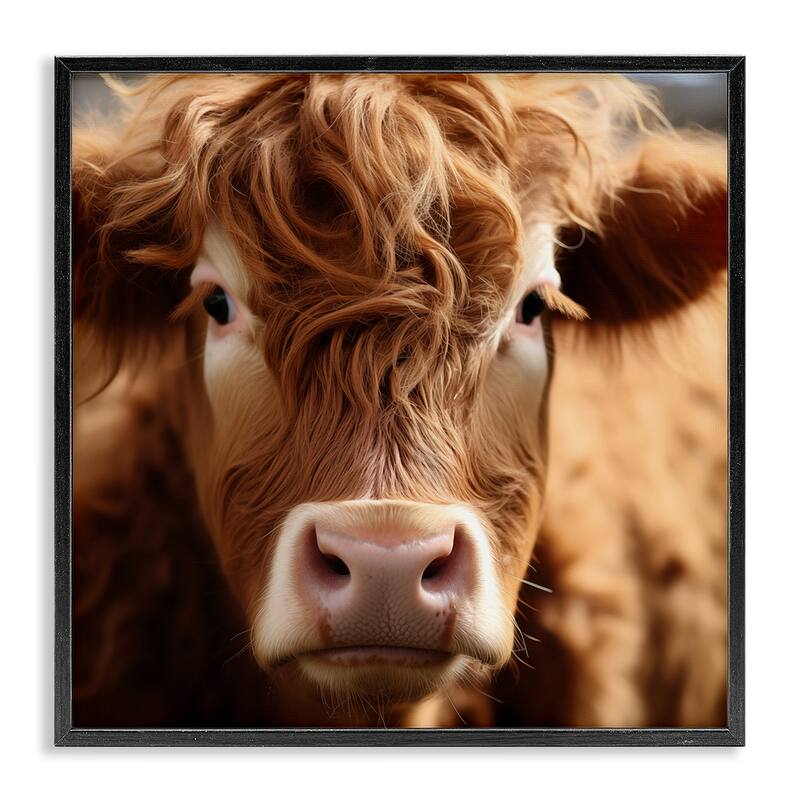 Stupell Close Up Furry Cow Portrait Framed Giclee Art Design By Heidi Kuntz - 17 x 17 - Black