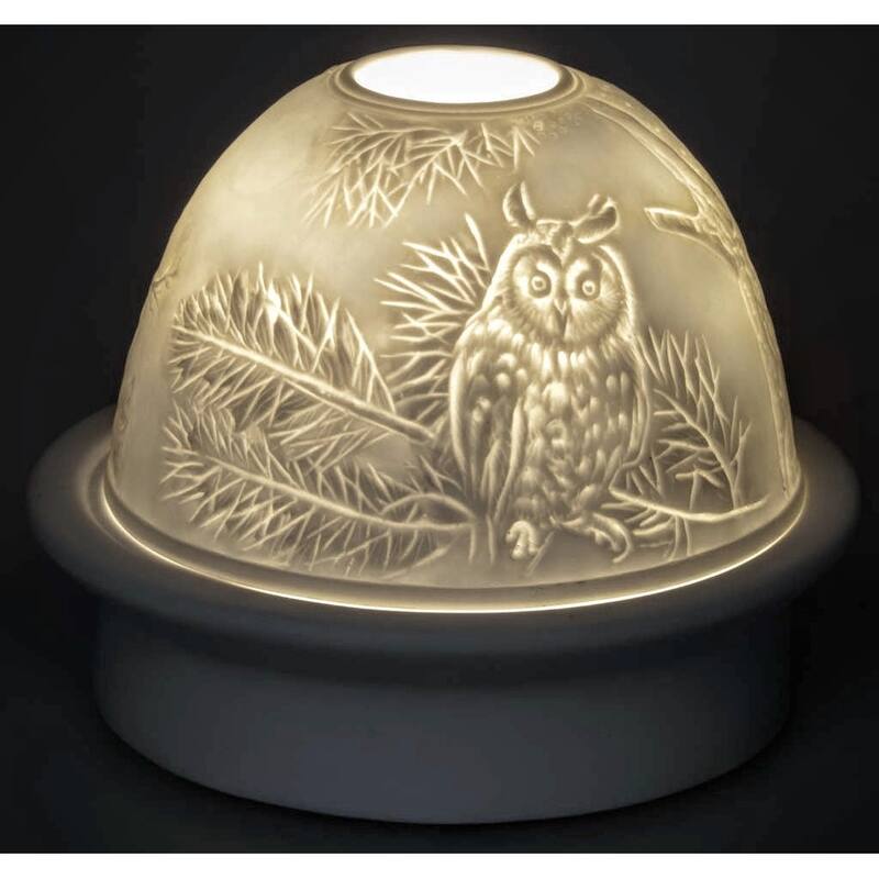 Owl   Dome Light