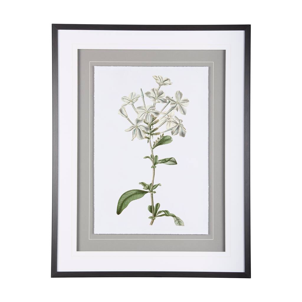 Soft Blue Botanicals VII Framed Art Print