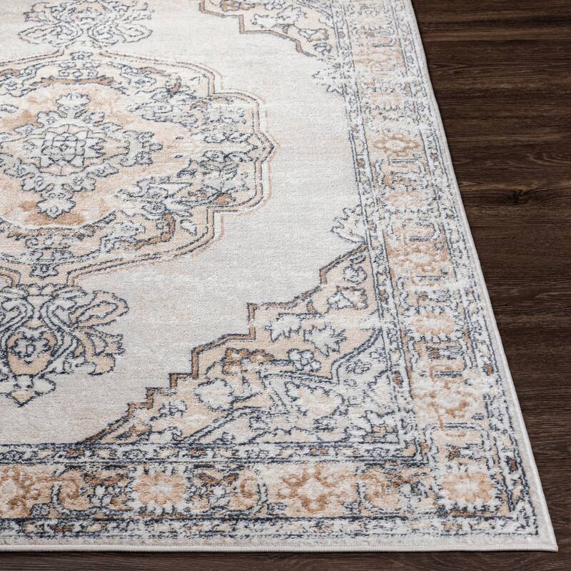 Artistic Weavers Akiva Vintage Medallion Area Rug