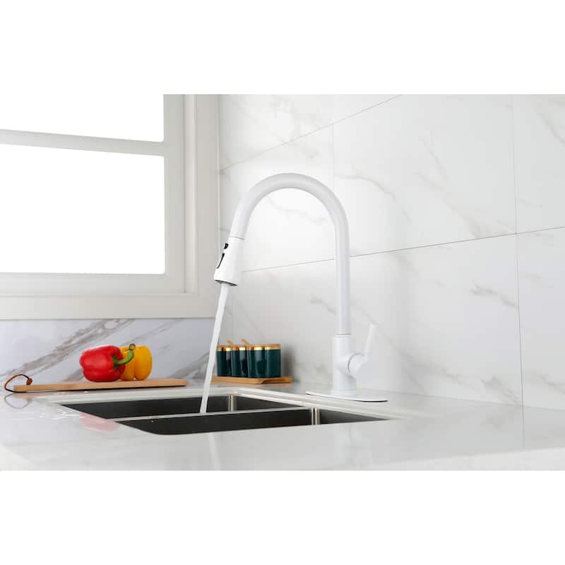 Pull Out Spray Kitchen Faucet