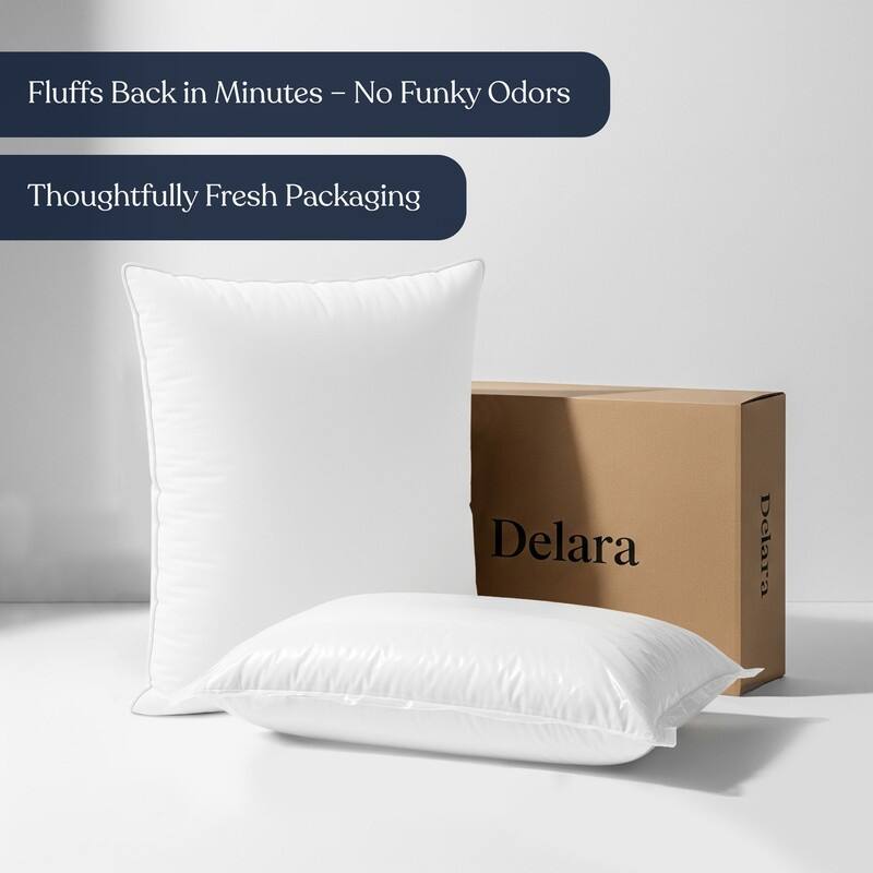 Delara Throw Pillow Inserts Organic Cotton, Down Alternative Fill, Set of 2