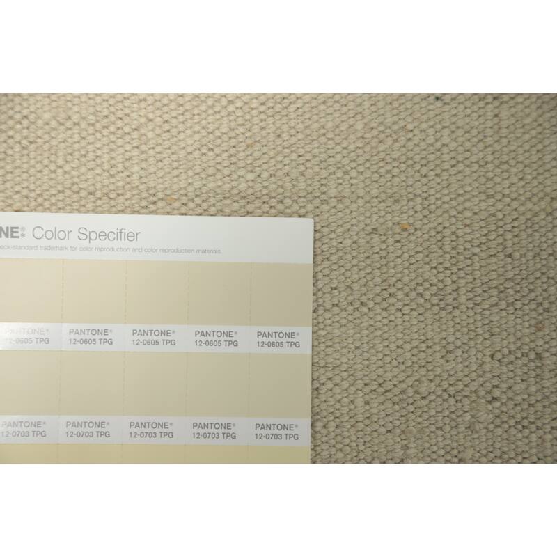 Hand Woven Southwestern Wool Beige Geometric Area Rug - 9' 10'' X 8' 5''