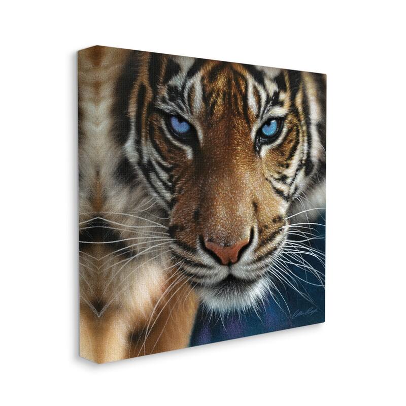 Stupell Blue Eyed Beautiful Fierce Tiger Close Up Detailed Portrait Canvas Wall Art