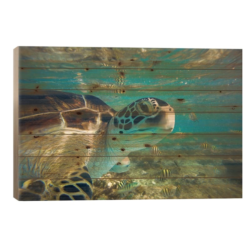 Green Sea Turtle, Balicasag Island, Philippines I Print On Wood by Tim Fitzharris - Multi-Color - 18x26x1.5