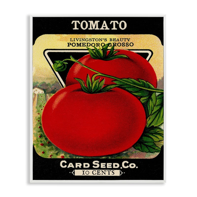 Stupell Vintage Garden Tomato Framed Giclee Art Design By Lil' Rue - 24 x 30 - White