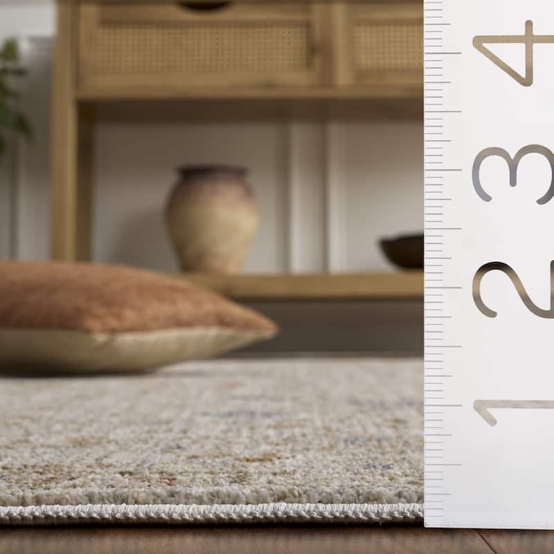 SAFAVIEH Whitney Niosha Bohemian & Eclectic Rug