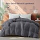 Option Medium Weight Dark Gray