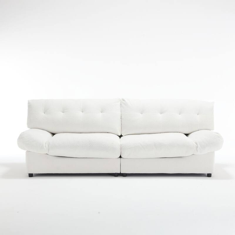 Modern Teddy Velvet 2-Seater Modular Sofa with Button Tufted Design and Plastic Feet