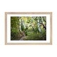 preview thumbnail 9 of 18, iCanvas "Birch Trees & Tall Grass" by Danny Head Natural - 16x24x1