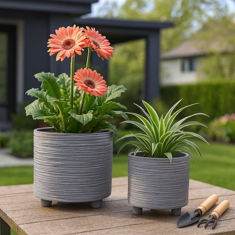 Ceramic Patterned Footed Planter - Set of 2 - 6" - 8" - 8"x8"x8" - Grey Line