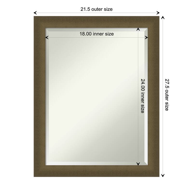 Blaine Narrow Beveled Framed Wall Mirror - Blaine Light Bronze Narrow - Glass Size 18x24