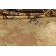 preview thumbnail 15 of 17, Vegetable Dye Wool/ Silk Abstract Area Rug Hand-knotted Modern Carpet - 7'11" x 9'9"